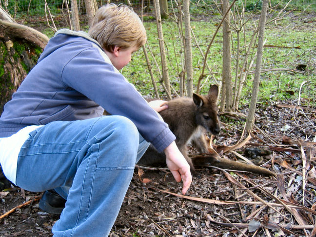 Edmond with Wallaby